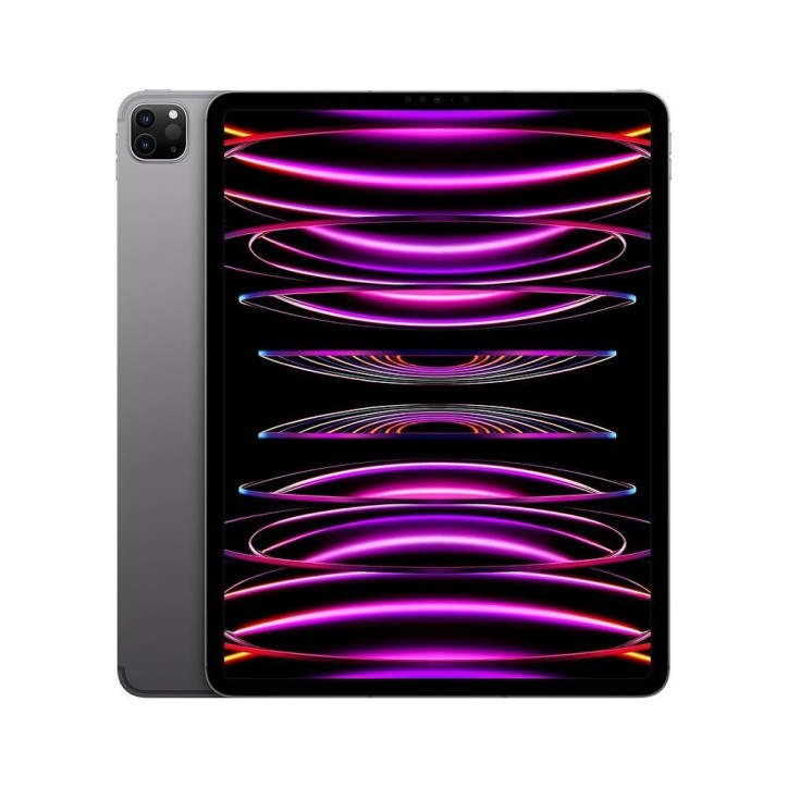 Apple iPad Pro 6ème WiFi+LTE Argent sans accessoires -0GB RAM-2TB disque dur
