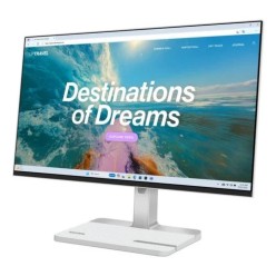 Lenovo L24D-4C, 24"