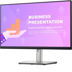 Dell P2422HE, 24"