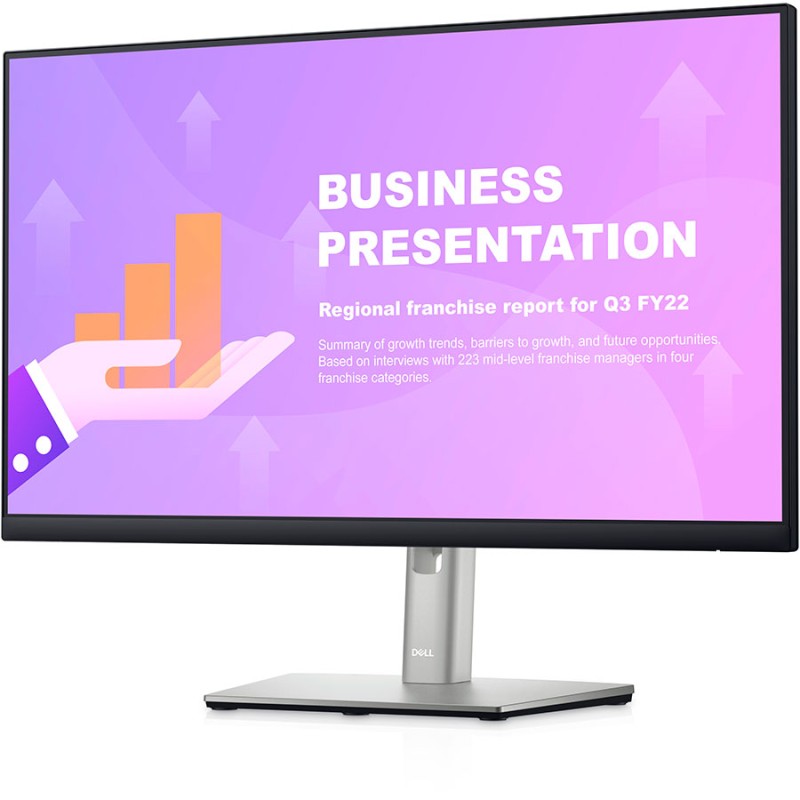 Dell P2422HE, 24"