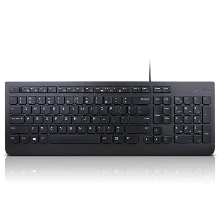 Teclado Lenovo Essential USB QWERTY Español Negro