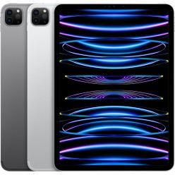iPad Pro 4e génération 2022 11" reconditionné 256Go WiFi